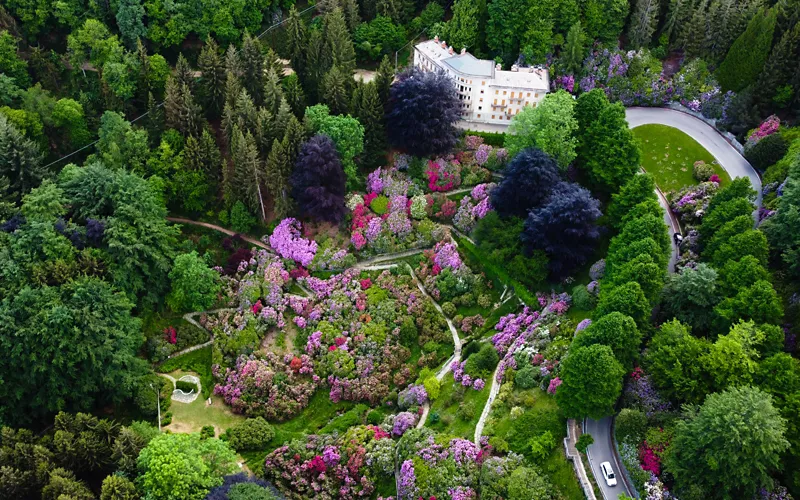 Oasi Zegna: Entdecken Sie den Buchenwald