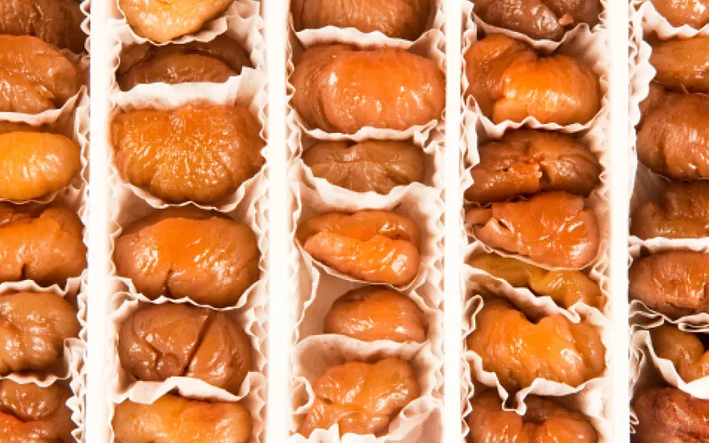 oltre alle nocciole