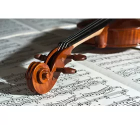 violin detail