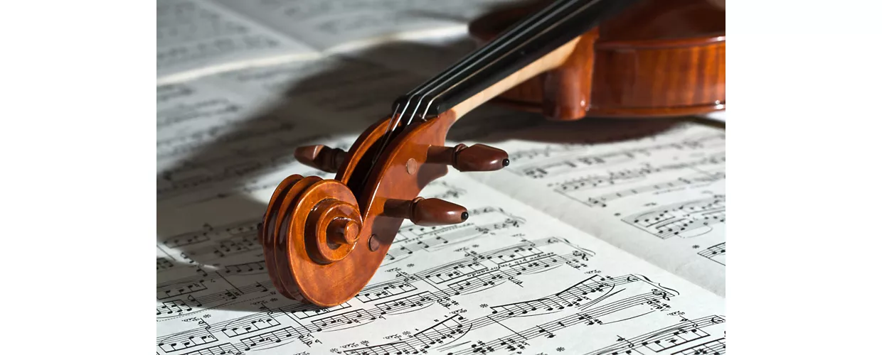 violin detail