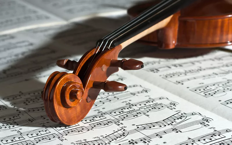dettaglio violino