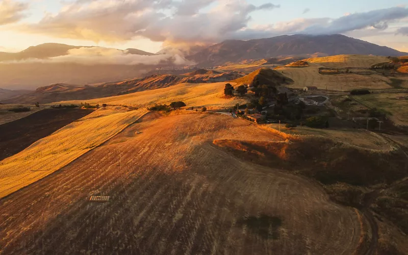 The black gold of the Madonie