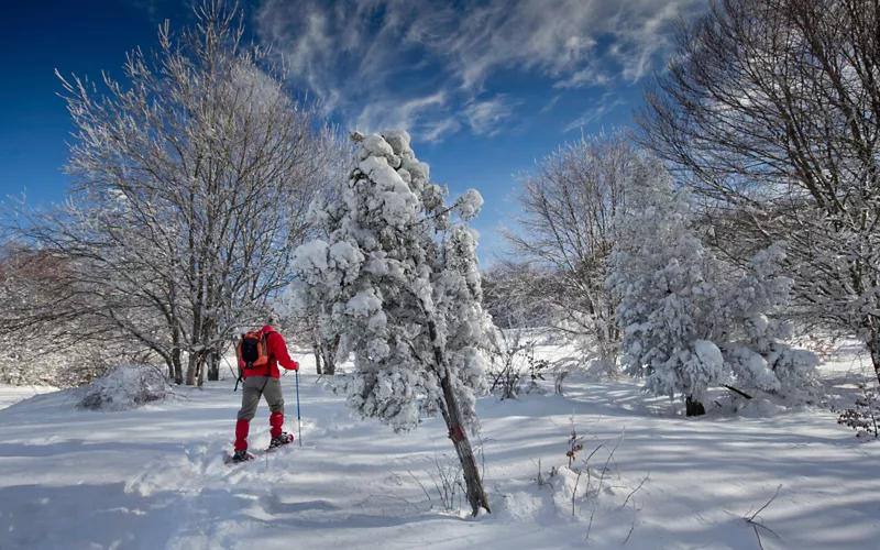 Parque Nacional de Foreste Casentinesi, Monte Falterona y Campigna