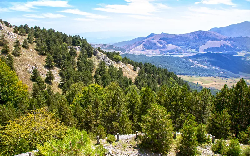 Pollino y Piana di Sibari: de la tenacidad de la naturaleza a la tierra de los mitos griegos