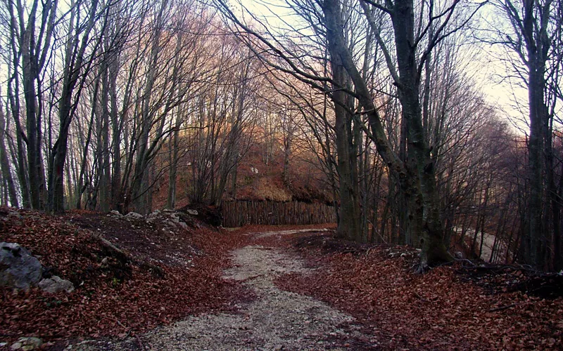 Partenio Regional Park: precious green lung