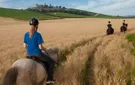 equitación