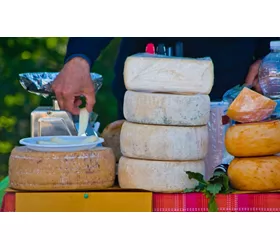 Pecorino ligur alpino: historias de pastos, rebaños y montaña