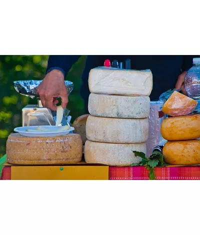 Ligurischer Pecorino (Schafskäse) von der Alm: Geschichten von Weiden, Schafen und Bergen