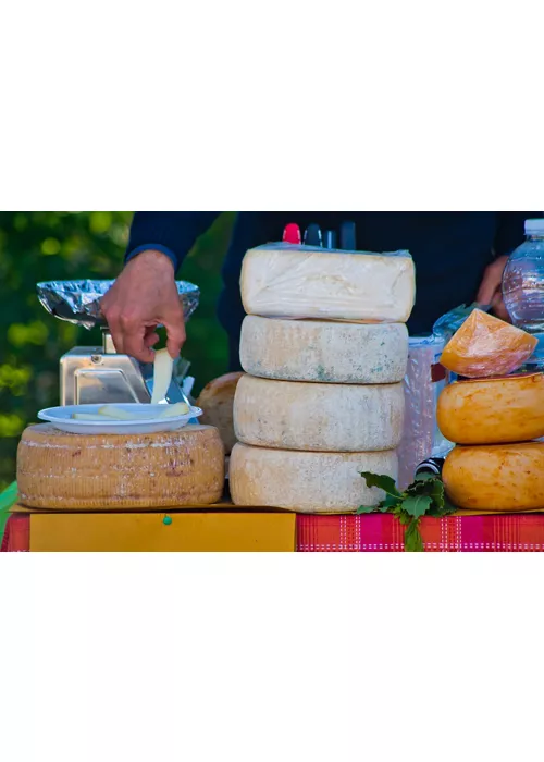 Ligurischer Pecorino (Schafskäse) von der Alm: Geschichten von Weiden, Schafen und Bergen