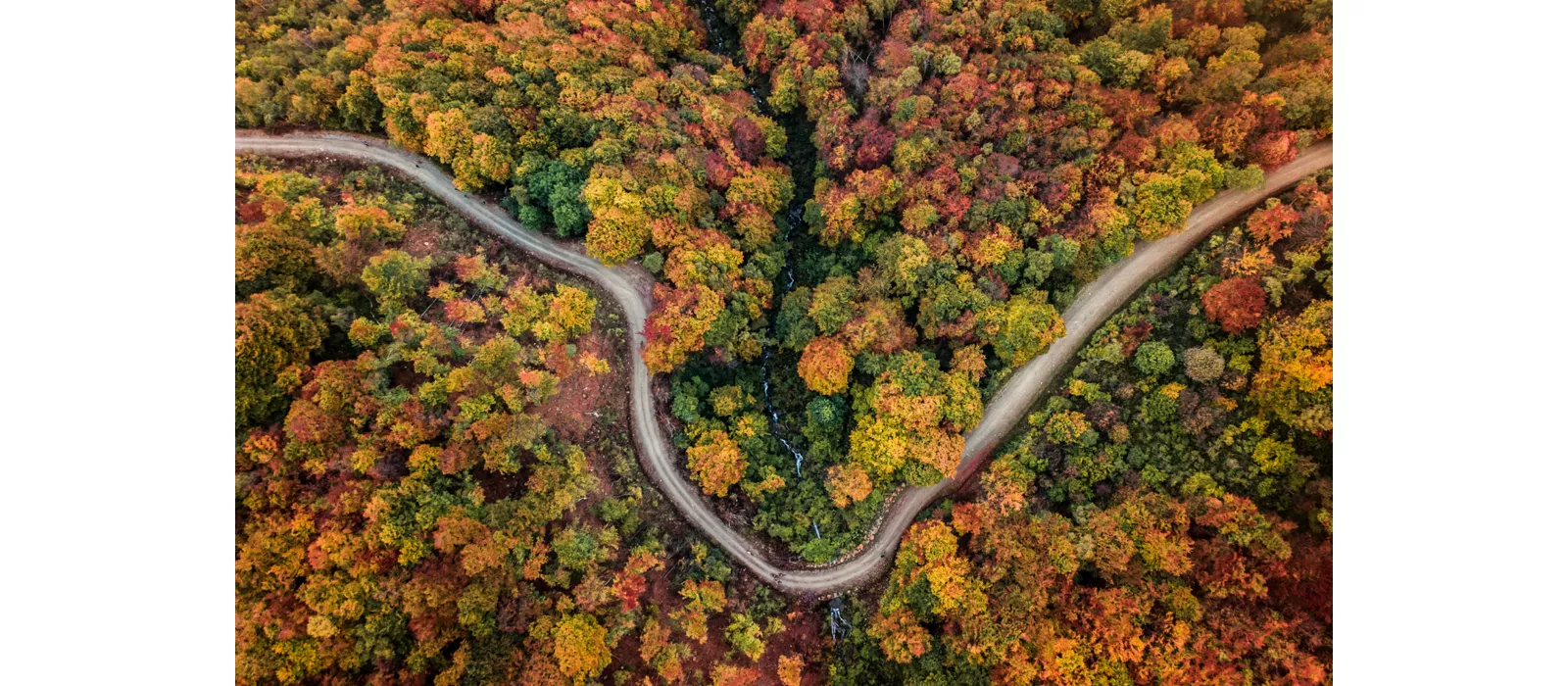 Biella, a região de Biella e o Oasi Zegna