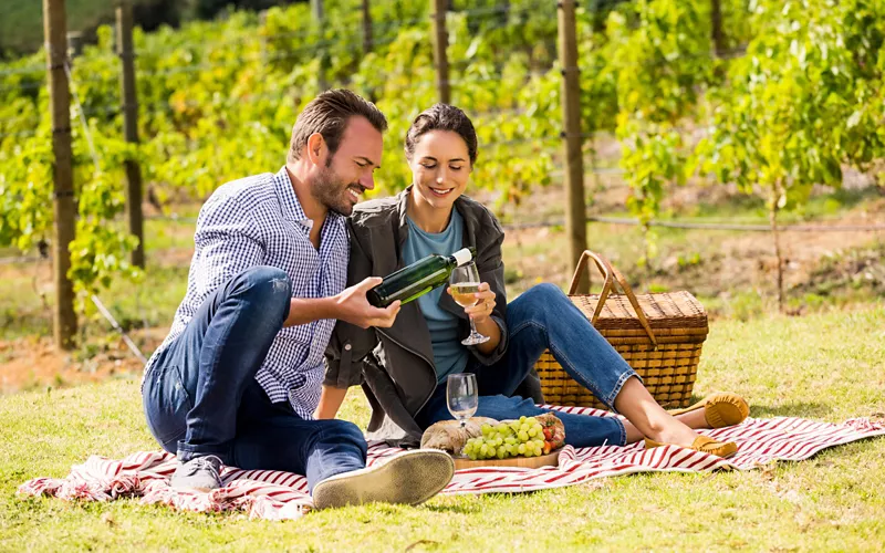 A picnic at a vineyard in Lombardy