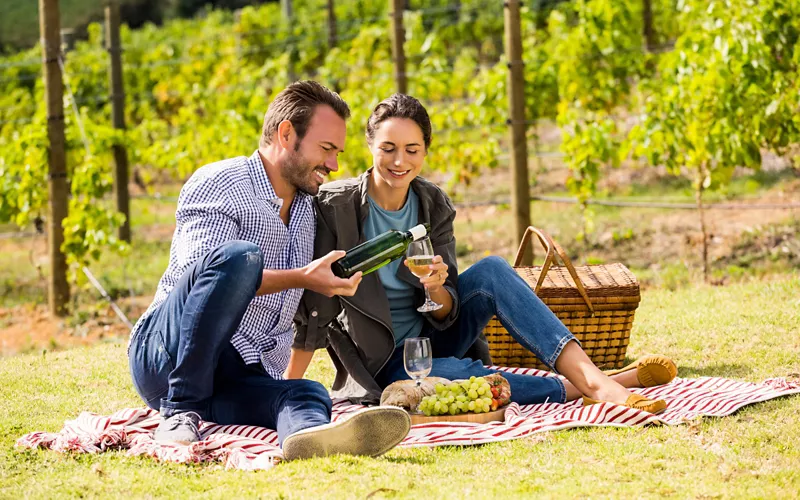 Picnic in vigna in Lombardia