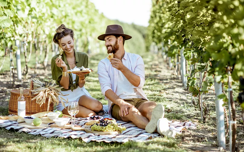 Pícnic en el viñedo en Piamonte