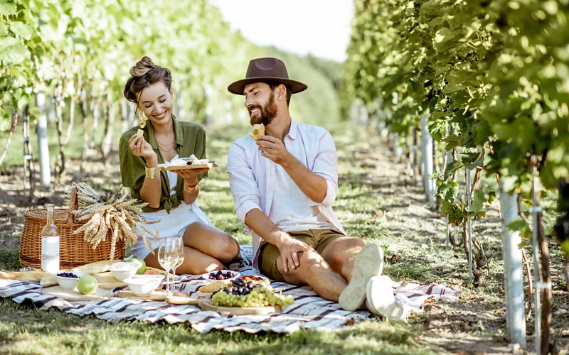 Picnic in vigna in Piemonte