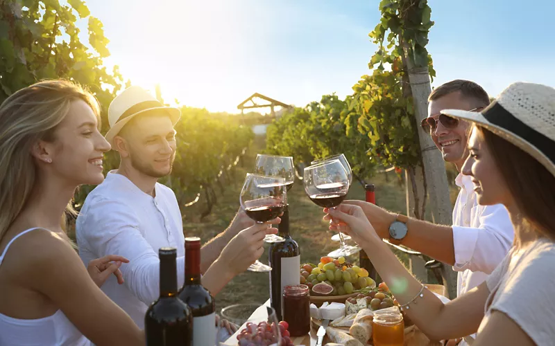 A picnic in a vineyard in Umbria