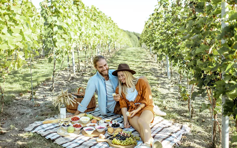 A picnic at a vineyard in the Veneto region