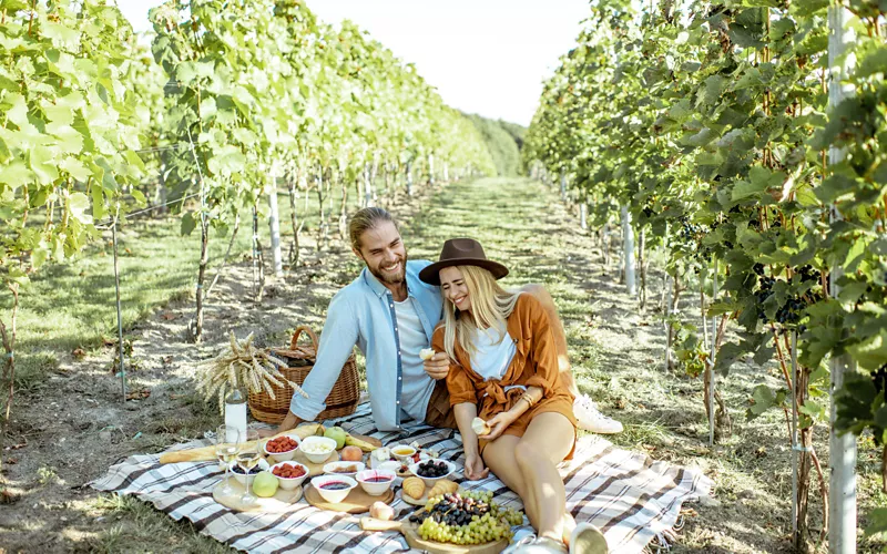 Picnic in vigna in Veneto