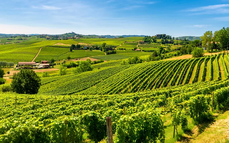 The magnificent scenery of the Langhe and Monferrato