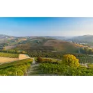 Im Herzen der Region Piemont mit dem Fahrrad: eine Route von Barbaresco nach Barolo