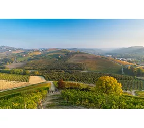 Au cœur des Langhe piémontaises à vélo : un itinéraire de Barbaresco à Barolo