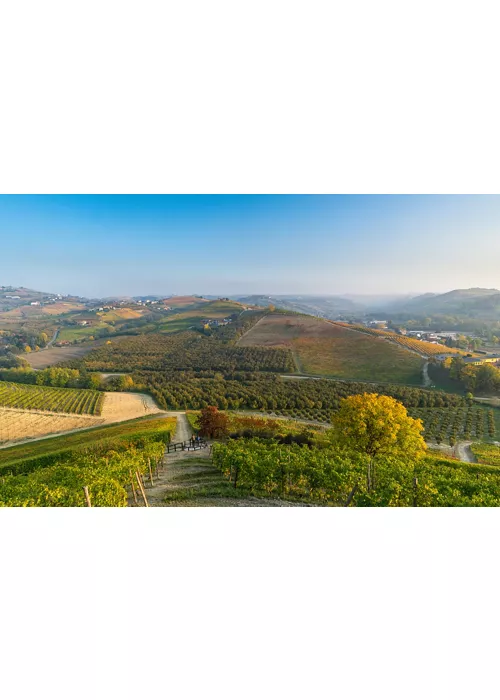 Au cœur des Langhe piémontaises à vélo : un itinéraire de Barbaresco à Barolo