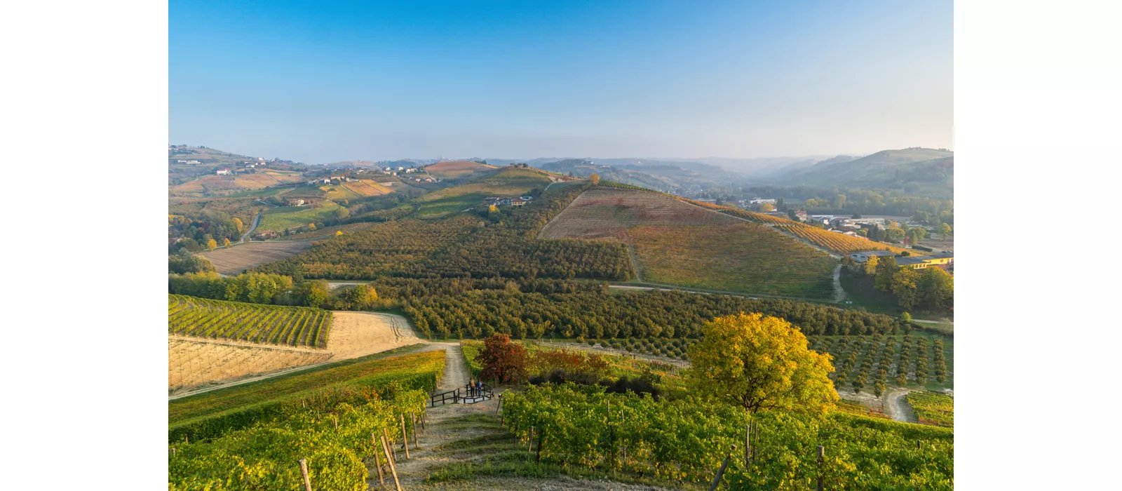 Nel cuore delle Langhe piemontesi in bicicletta: un itinerario da Barbaresco a Barolo