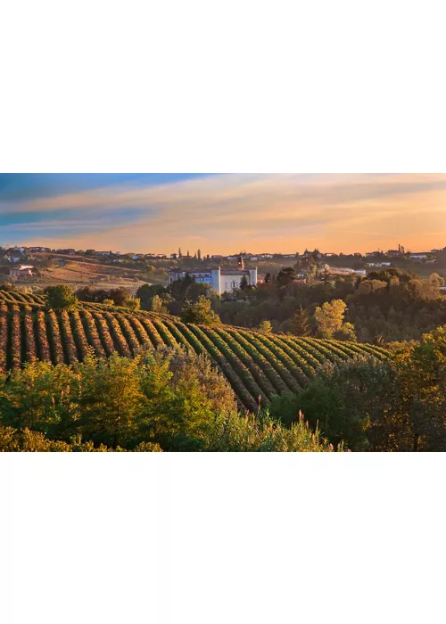 Piemonte, straordinario laboratorio di prodotti, tutti da gustare... e da bere.