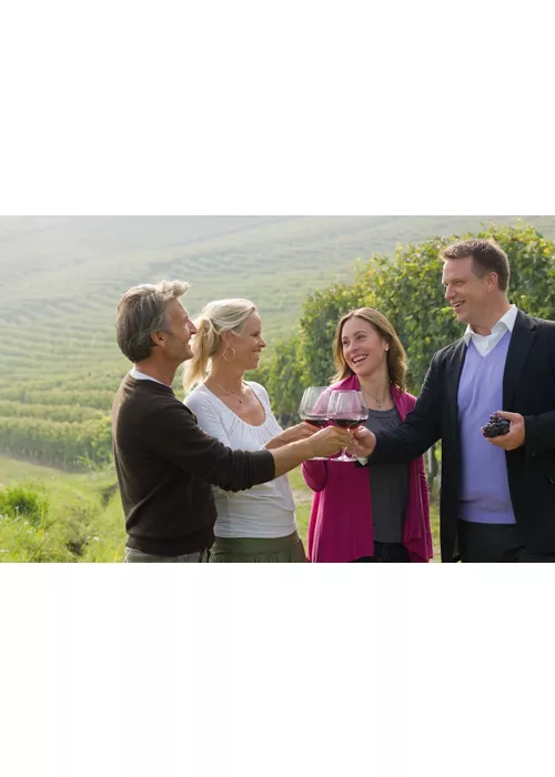 Das Piemont ist das Land der hervorragenden Weine, Schaumweine, Grappas und Liköre