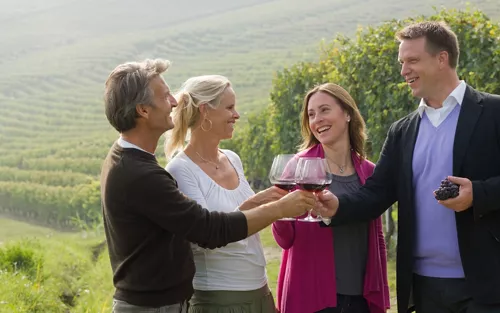 Il Piemonte è una terra di vini, spumanti, grappe e liquori straordinari