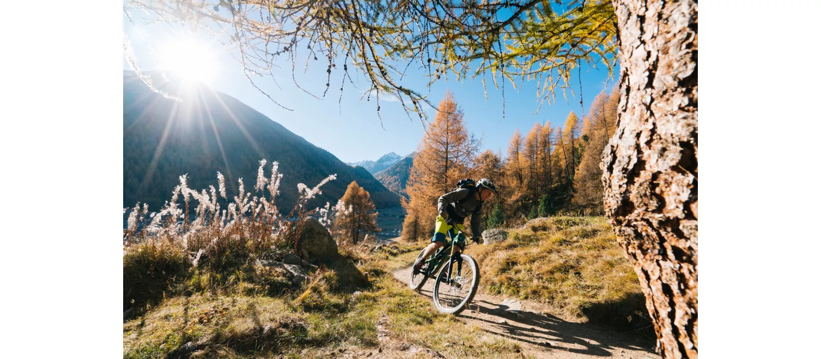 Il Piemonte in sella: da Carema a Comignago in bicicletta