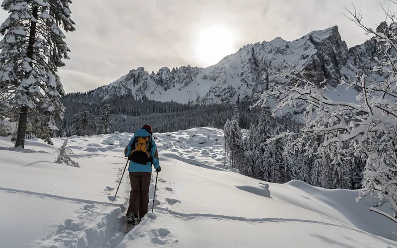 Relajación total con raquetas de nieve, paseos en trineo o carruaje y centros de bienestar