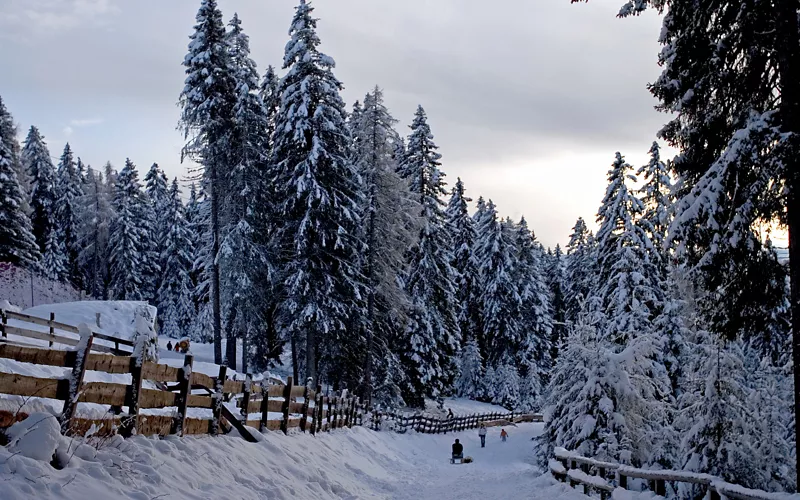 piste slittino bressanone 