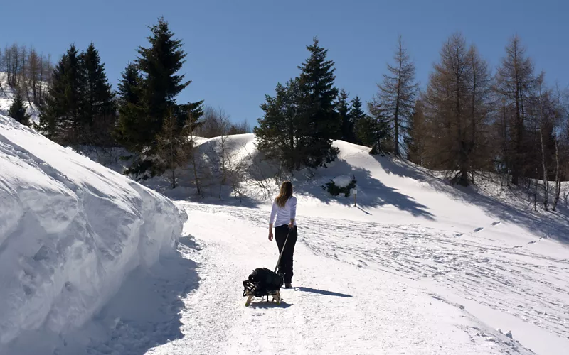 Trineo Scivolone: equipamiento familiar para parques de nieve