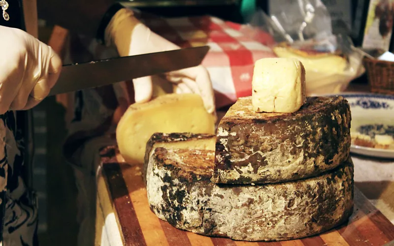 Pecorino cheese of Farindola