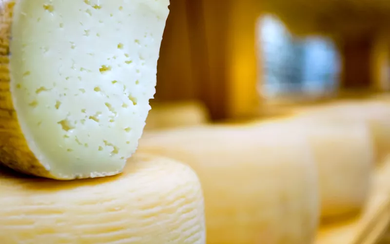 roman pecorino