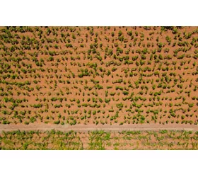 puglia fuori rotta
