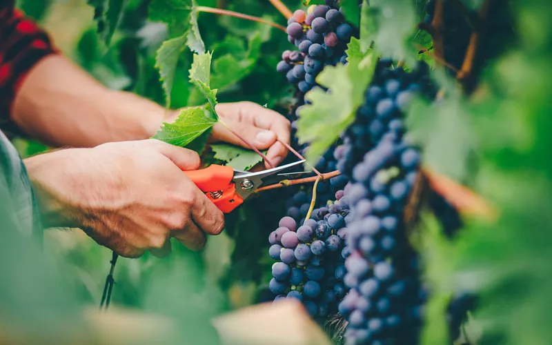 Que faire dans les Pouilles en automne