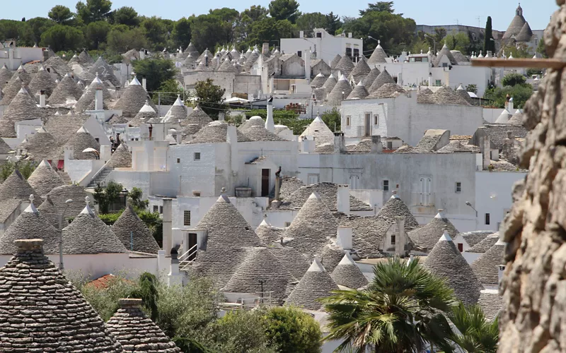 Authentic and timeless, your journey between Valle d'Itria and Murgia dei Trulli