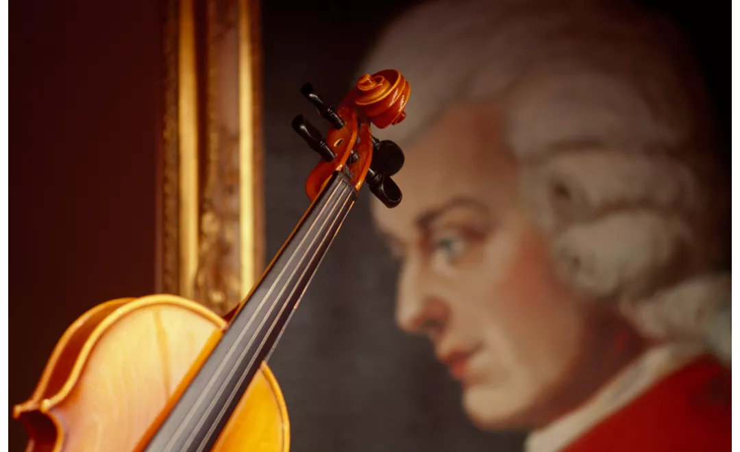 violin detail