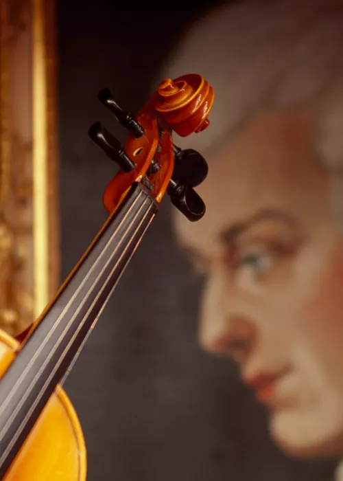Detalle del violín