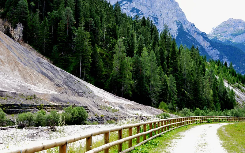 Entspannung und Natur in der Waldbibliothek