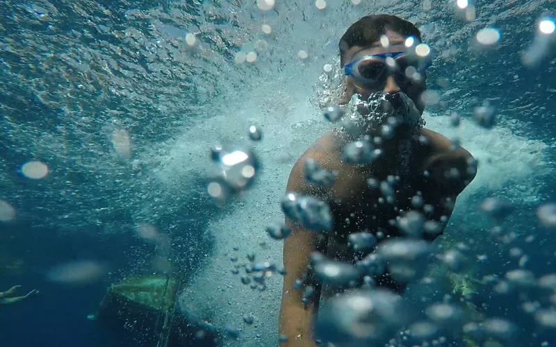 Der Reichtum des Meeresbodens