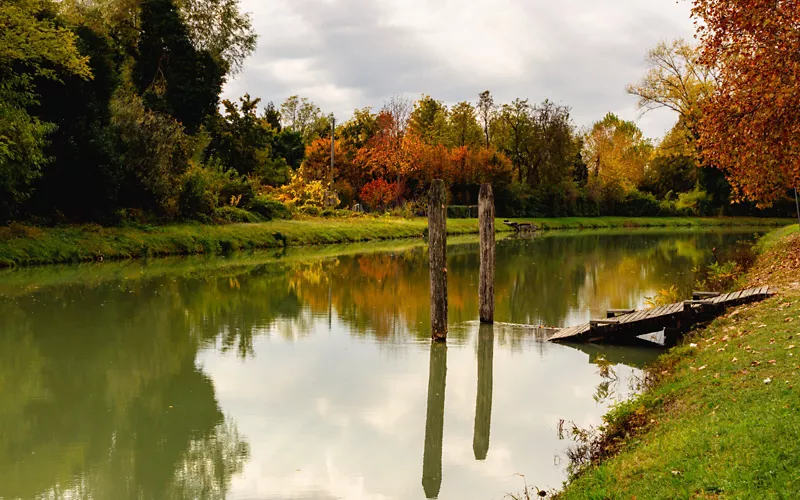 Riviera del Brenta D. O. C.