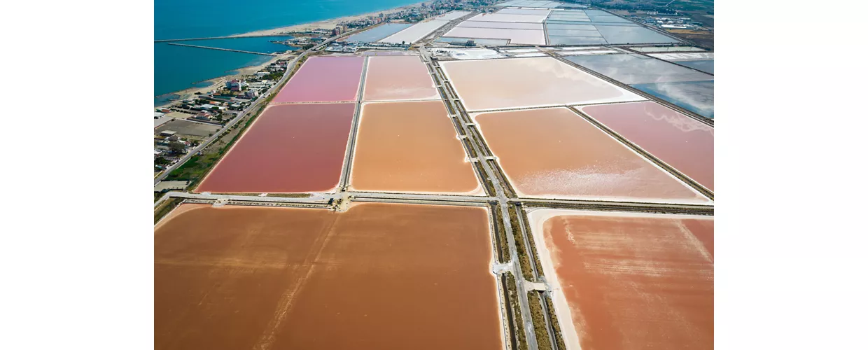 Riserva naturale Salina di Margherita di Savoia