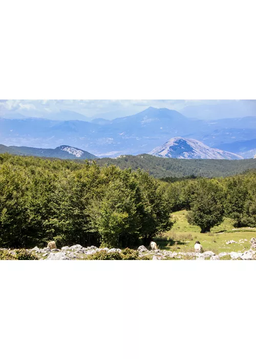 A spiritual journey through shrines and landscape in Pollino National Park