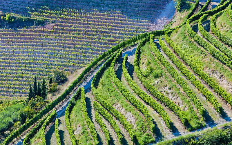 Todas las caras de Valpolicella