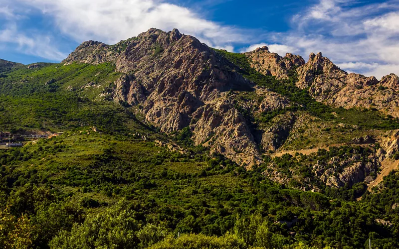 From the coasts of Sulcis Iglesiente to the boundless ponds of Campidano 