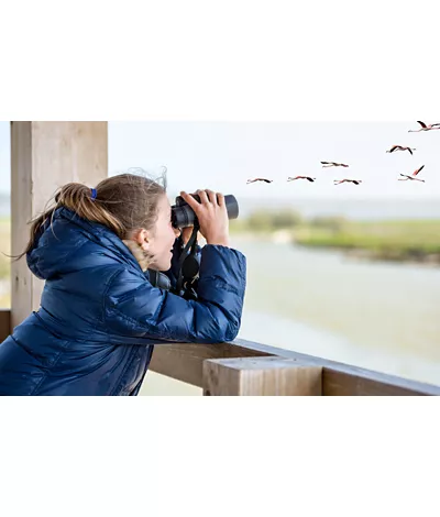 En suivant le fleuve Pô : un paradis pour l'observation des oiseaux en Lombardie