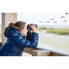 Seguendo il fiume Po: un paradiso per il birdwatching in Lombardia