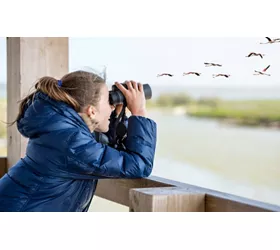 Seguendo il fiume Po: un paradiso per il birdwatching in Lombardia